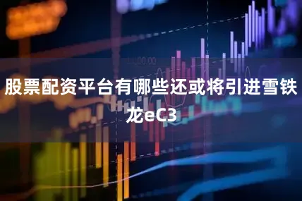 股票配资平台有哪些还或将引进雪铁龙eC3